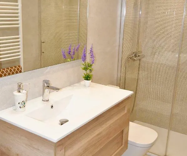 Mirador Catedral De Santiago Bilbao